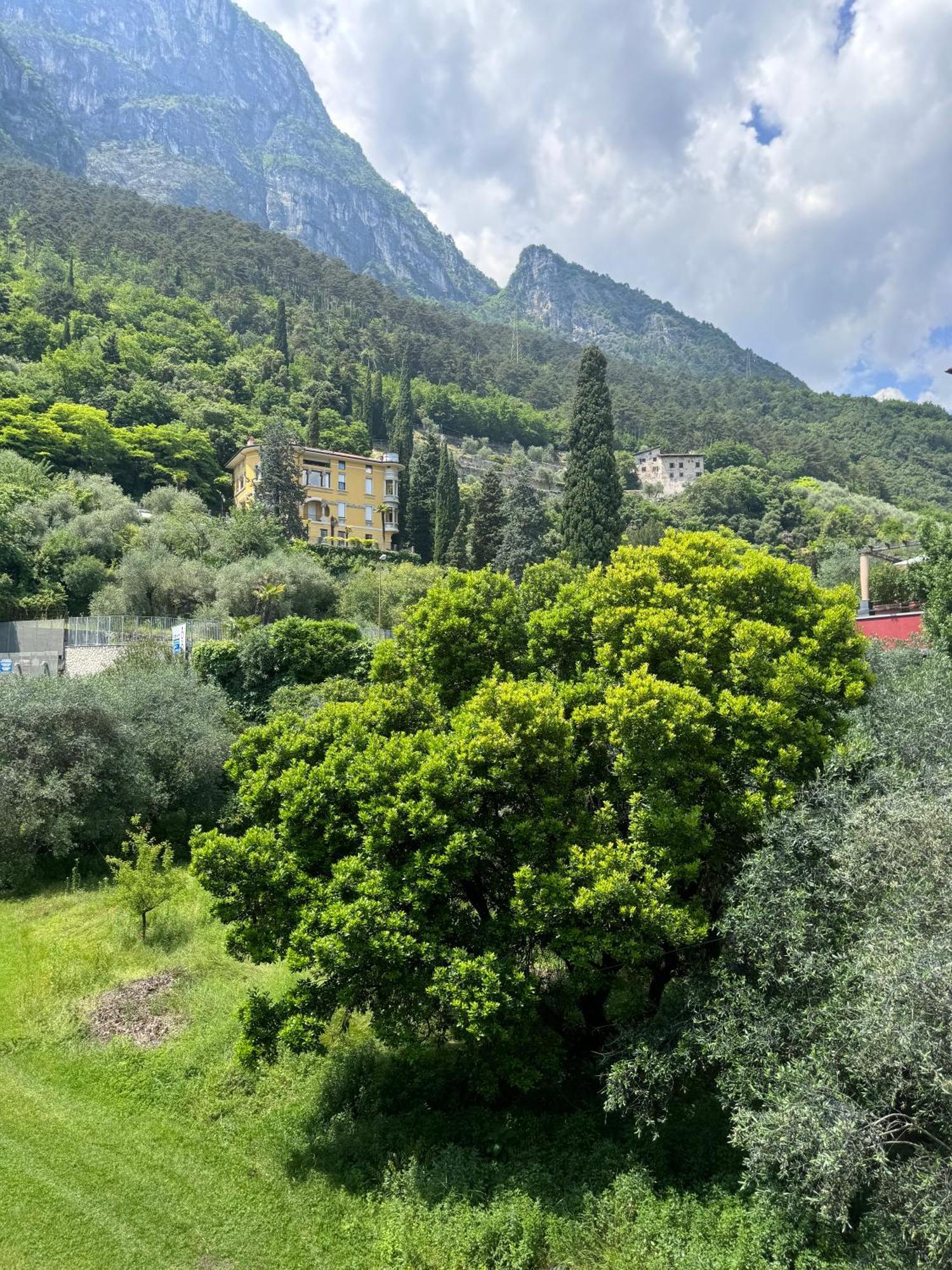 Appartamento New In Historical Center Near *